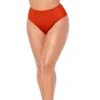 Swimsuits For All Women’s Plus Size Shimmer High Waist Stitch Bikini Brief